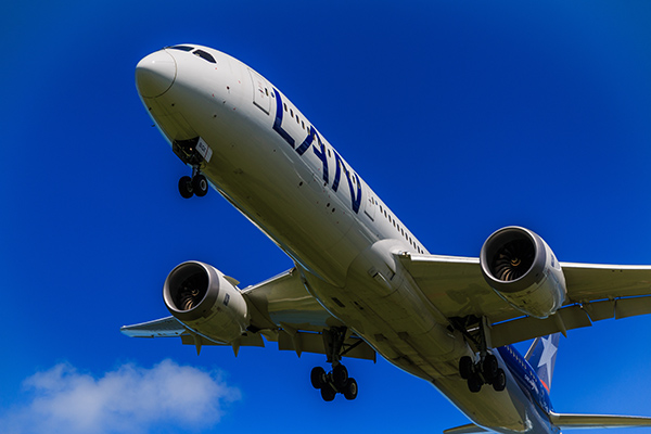 飛行機