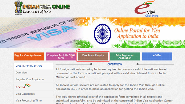 visa_status